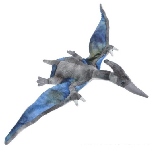 Buy 13.5" ANIMAL DEN PTERANODON plush in Bulk